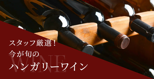スタッフ厳選!今が旬のハンガリーワイン